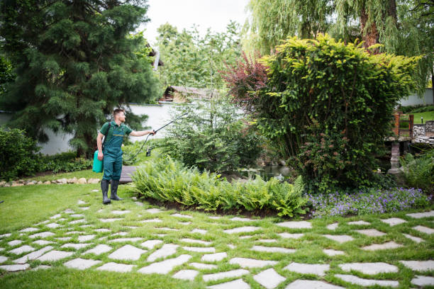 Best Residential Pest Control  in Siena College, NY