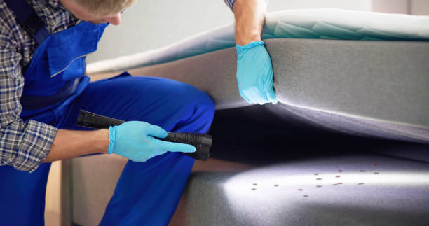 Professional Pest Control in Siena College, NY