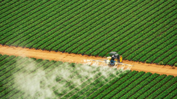 Best Commercial Pest Control Services  in Siena College, NY