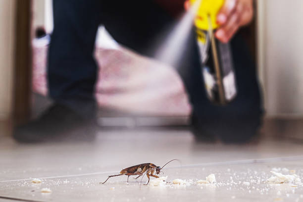 Best Best Pest Control Companies  in Siena College, NY